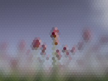 The same tulips as a Peacock mantis shrimp sees them.