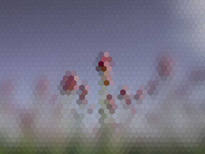 Picture A: the tulips through a mystery animal's eyes