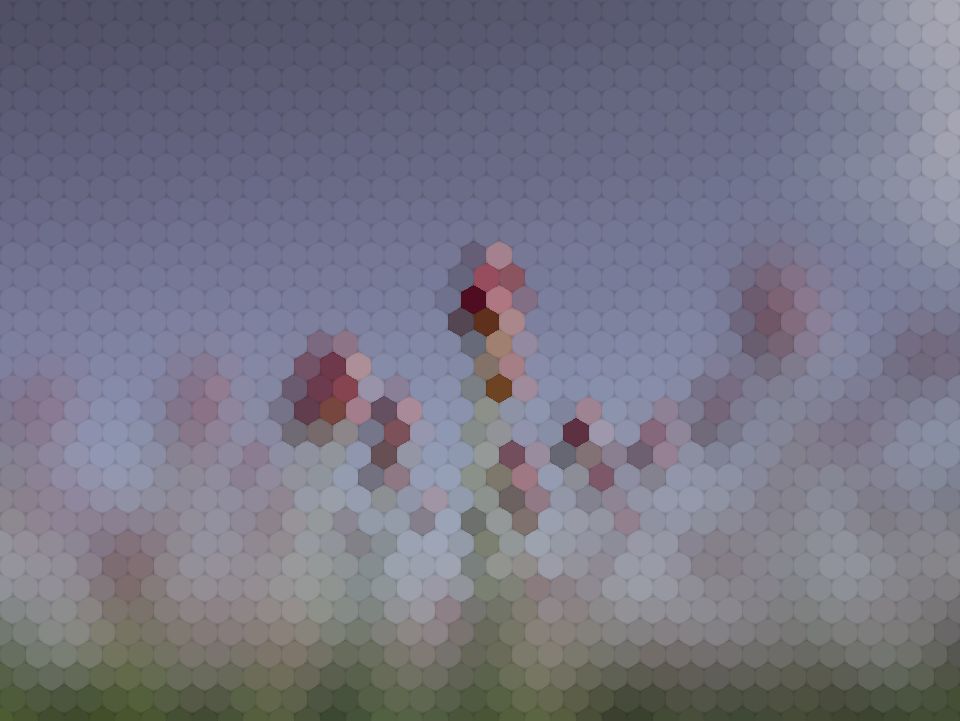Red tulips under a blue sky as a peacock mantis shrimp sees them (simulation): colours remapped to its 10 receptor classes, and fine detail softened.