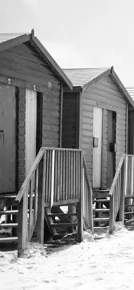 Beach huts as a bottlenose dolphin sees the colours