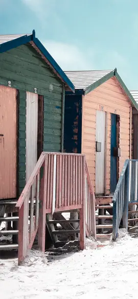 Beach huts as a budgerigar sees the colours