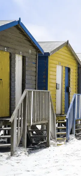 Beach huts as a dog sees the colours