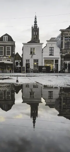 Old town square as a dog sees the colours