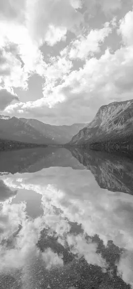 Mountain lake as a brownbanded bamboo shark sees the colours